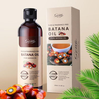 Batana Oil 240 ml amber bottle beside its printed carton, with fresh palm nuts and green palm fronds