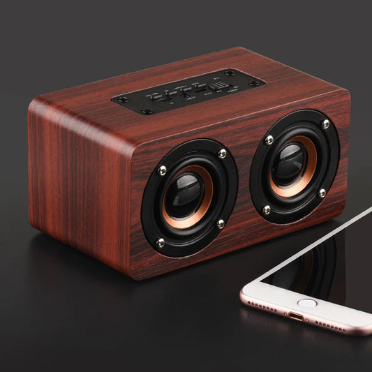 Wireless Bluetooth Speaker Canvia