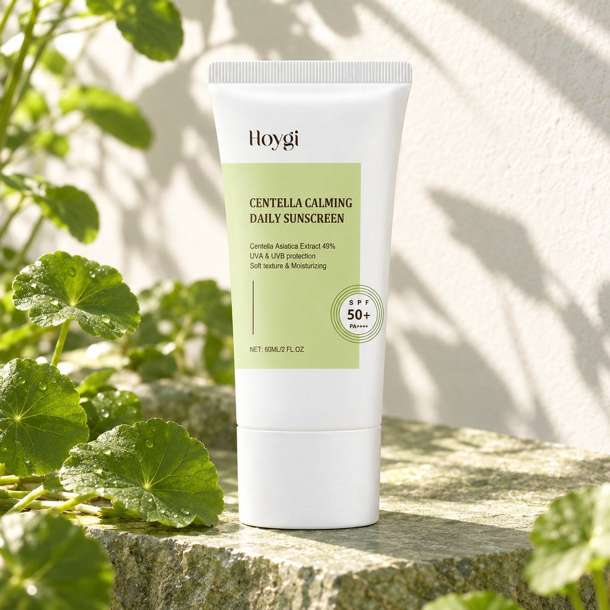 Hoygi Centella Calming Daily Sunscreen 60ml tube on a sunlit stone ledge with centella leaves