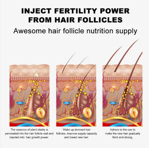 Eyebrow Growth Aid Oil 15ml Canvia