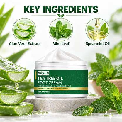 Tea Tree Foot Repair Cream key ingredients: aloe vera extract, mint leaf and spearmint oil